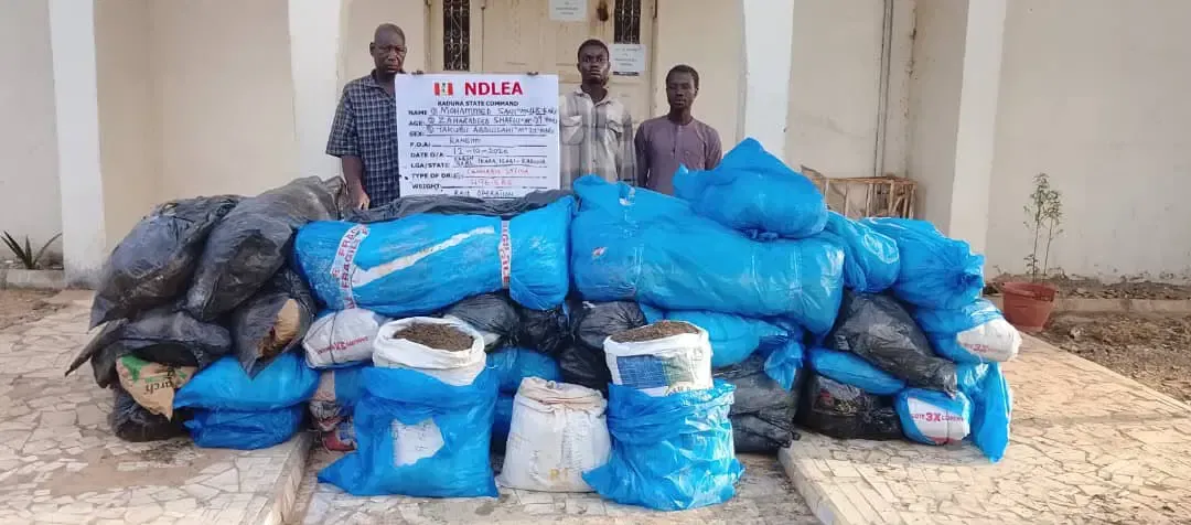 NDLEA